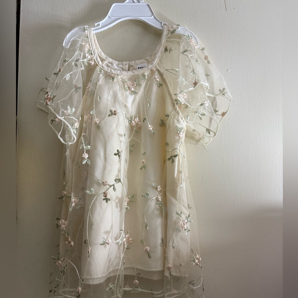Shein Baby girl‎ Sheer Floral Embroidered Dress Size 6-9m